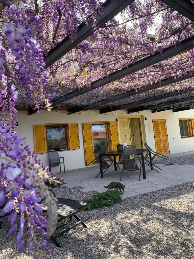 House Wisteria Apartment Kostanjevica na Krasu Exterior photo